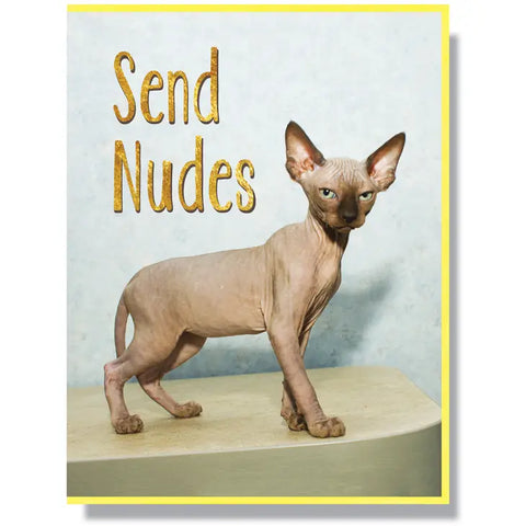 Send Nudes Greeting Card