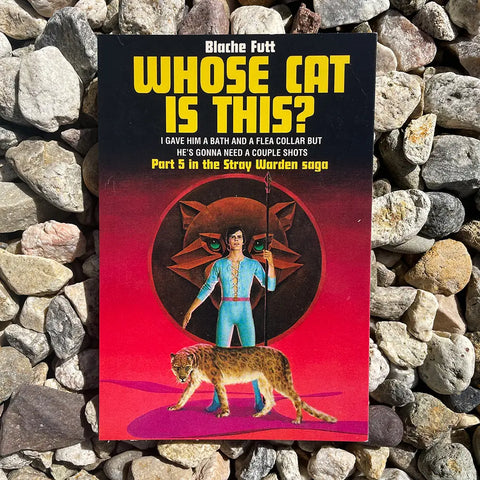 Whose Cat Is This Postcard