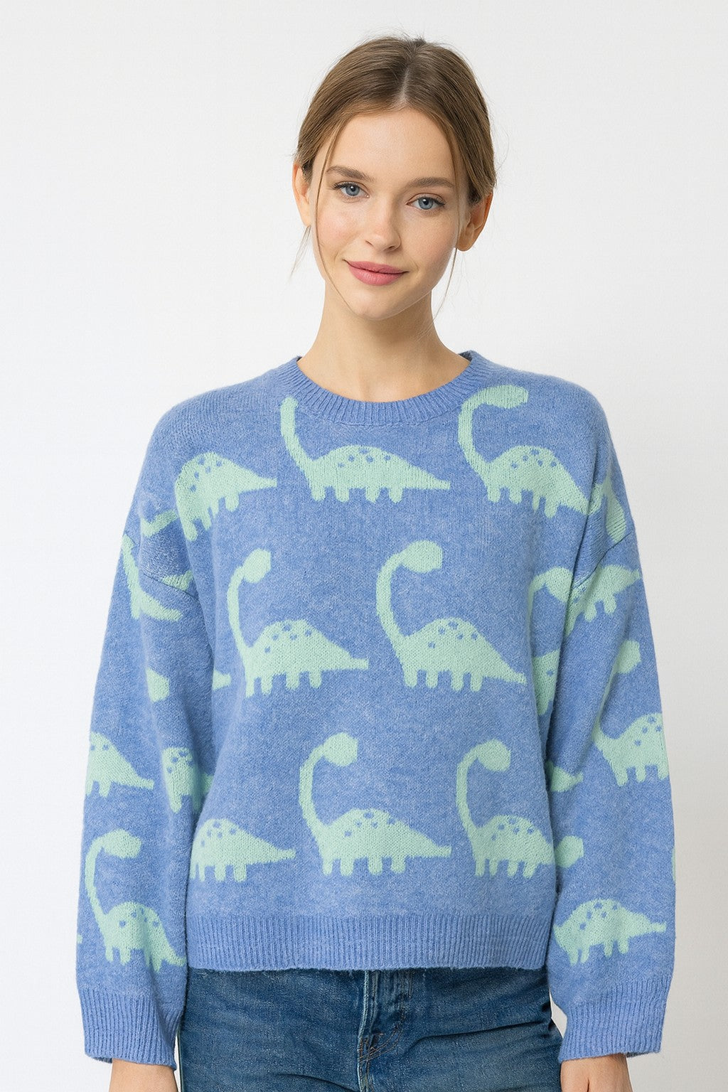 Dinosaur Pattern Pullover in Blue