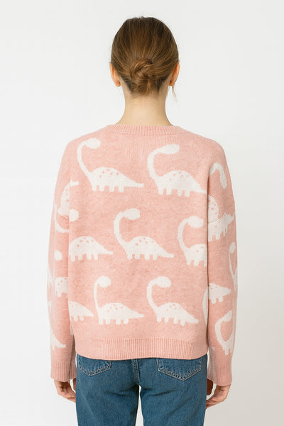 Dinosaur Pattern Pullover in Pink