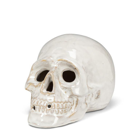 Porcelain Skull