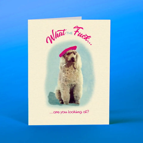 Cool Poodle Greeting Card