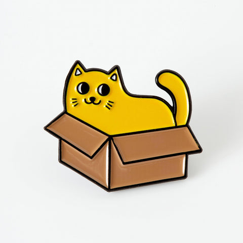 Cat in A Box Pin