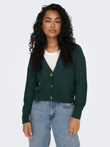 V-Neck Knit Cardigan in Green Gables