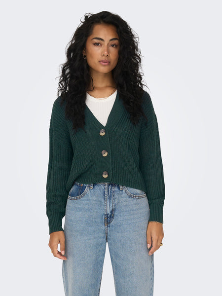 V-Neck Knit Cardigan in Green Gables