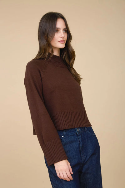 Mock Neck Cropped Sweater in Brown