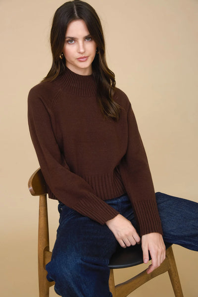 Mock Neck Cropped Sweater in Brown