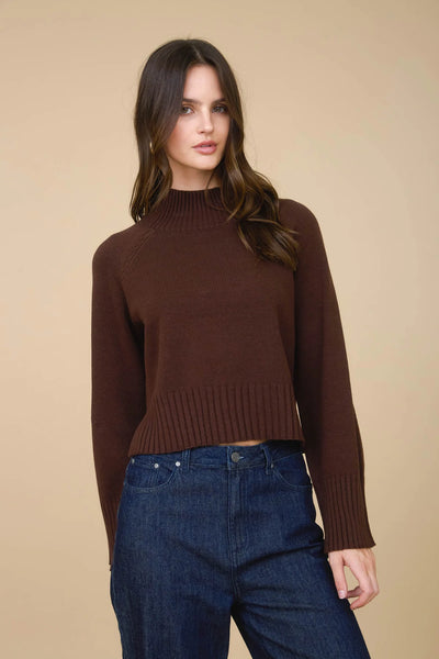 Mock Neck Cropped Sweater in Brown