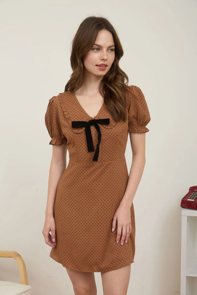 Polka Dot Velvet Tie Mini Dress in Brown Combo