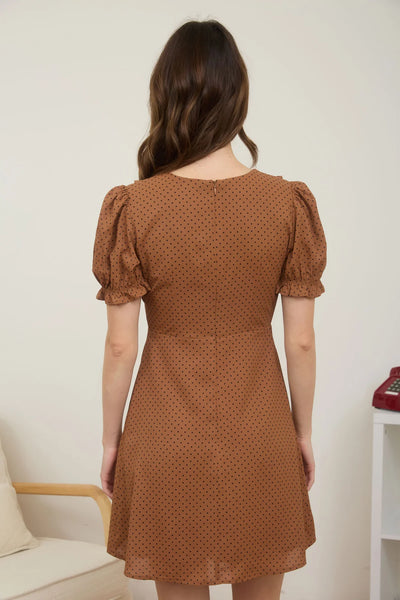 Polka Dot Velvet Tie Mini Dress in Brown Combo