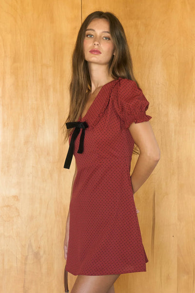 Polka Dot Velvet Tie Mini Dress in Dark Red Combo