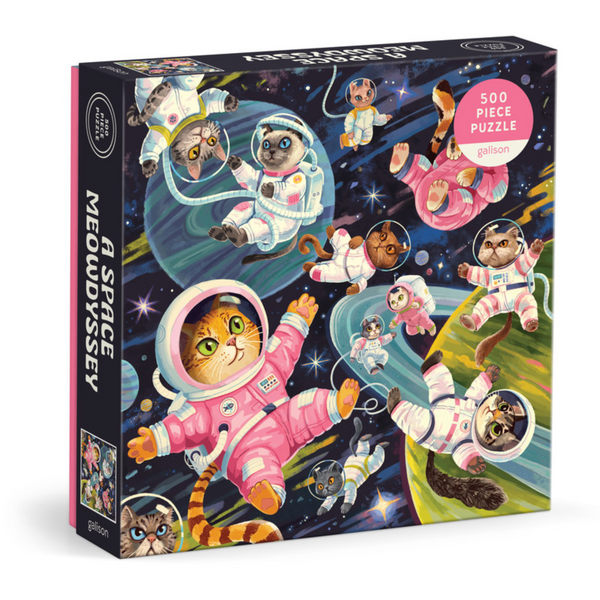 A Space Meowdyssey Puzzle
