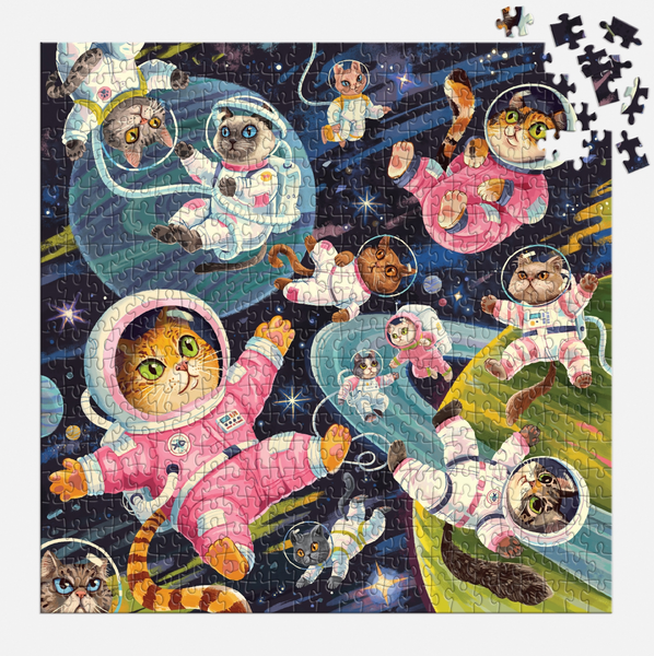 A Space Meowdyssey Puzzle