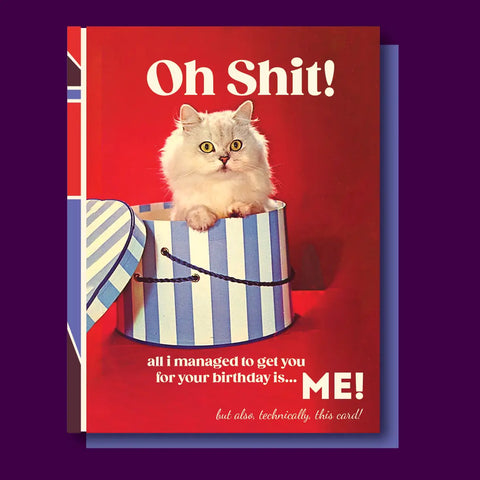 Cat In A Box Greeting Card