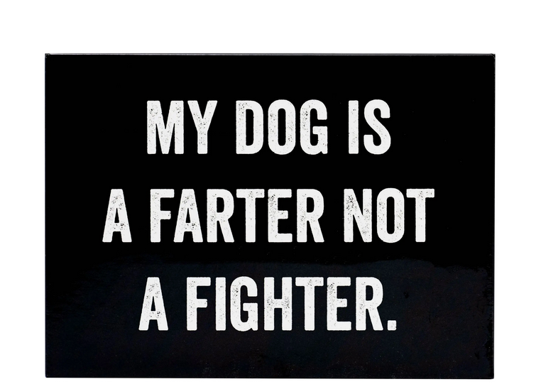 Dog Is A Farter Magnet